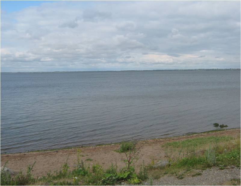 1 озеро в рублях. 1 Озеро Челябинск. Чурилово Челябинск первое озеро. Первое озеро Челябинск озеро. Пляж Чайка Челябинск первое озеро.